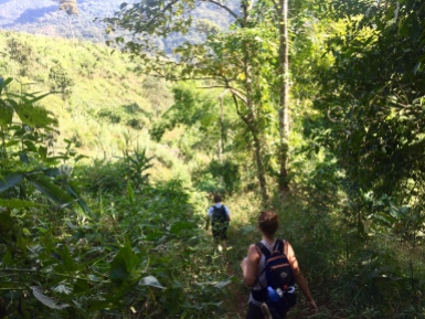 Heading back into the jungle for day two